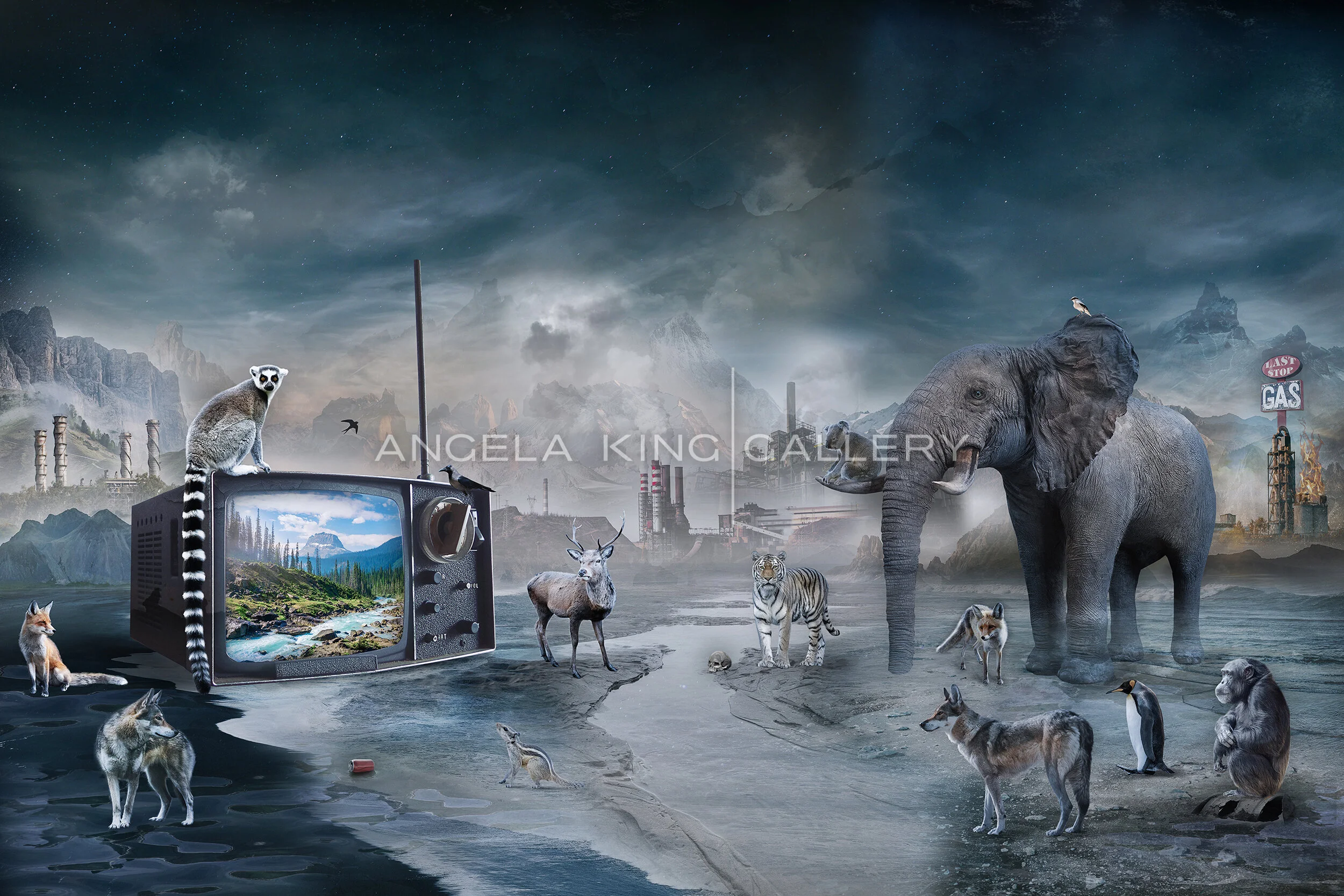 PARADISE LOST MARCIN OWCZAREK 画集 Paradise Lost by Marcin Owczarek | Dodho